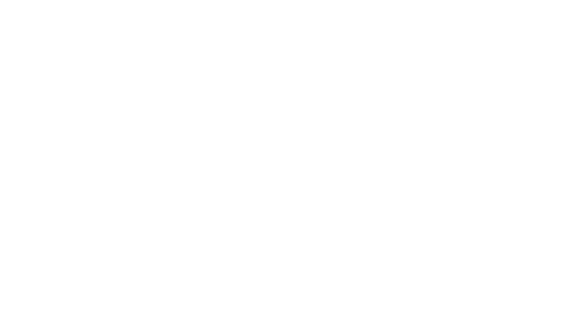 logo LVS Blanc