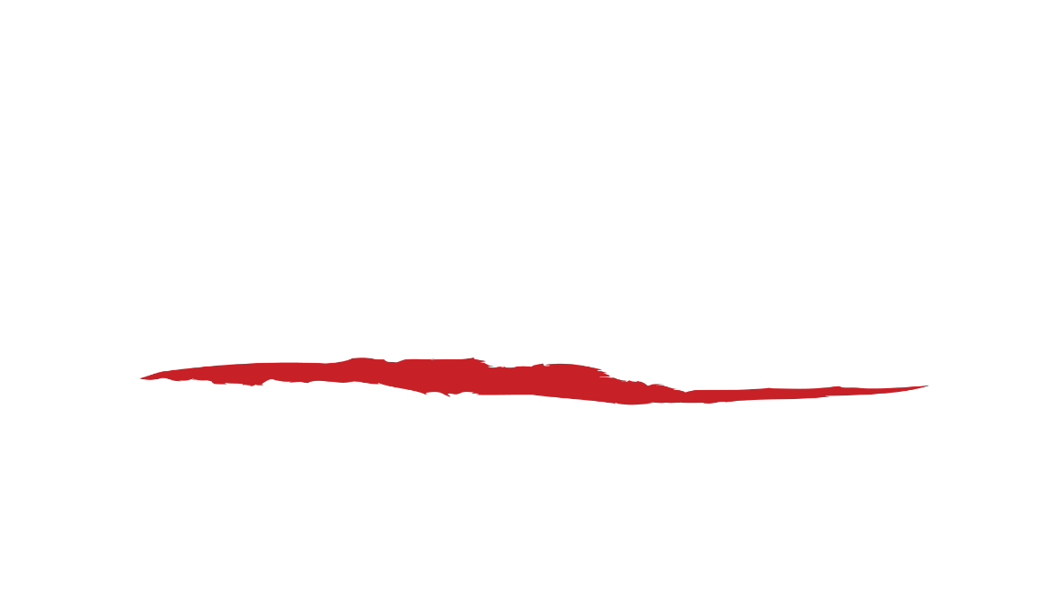 logo PDF Blanc